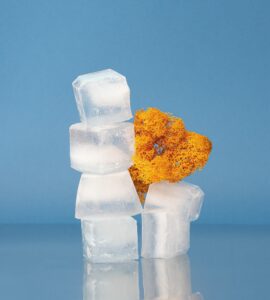 commercio ghiaccio secco pellets 3 mm per trasporto a temperatura controllata di vaccini Pontassieve