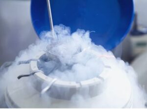 vendita pellets ghiaccio secco 3 mm per vaccino Cascina